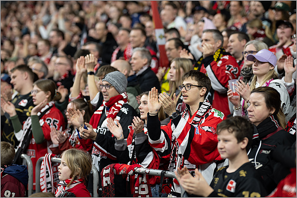 PENNY DEL 1; Kölner Haie - Straubing Tigers; Köln, 02.01.2026