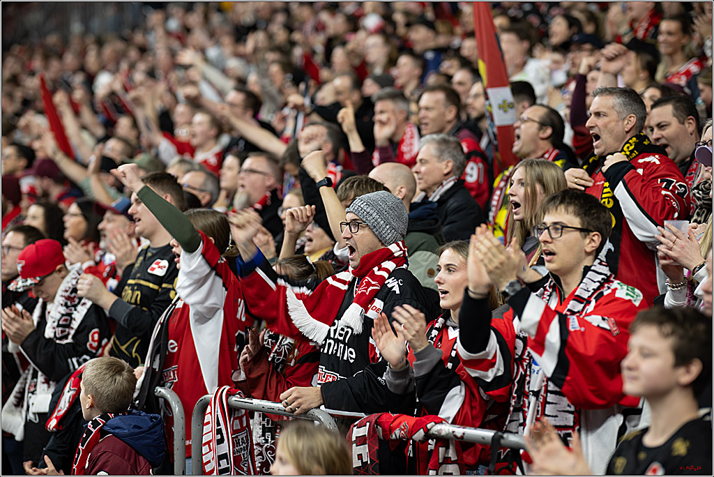 PENNY DEL 1; Kölner Haie - Straubing Tigers; Köln, 02.01.2026