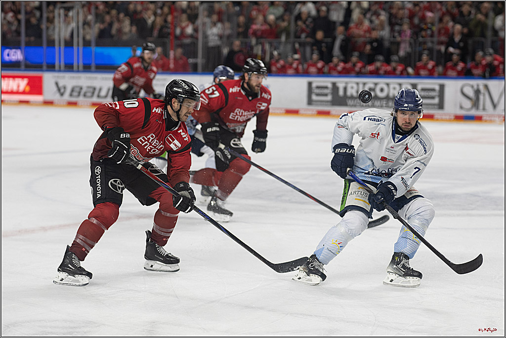 PENNY DEL 1; Kölner Haie - Straubing Tigers; Köln, 02.01.2026