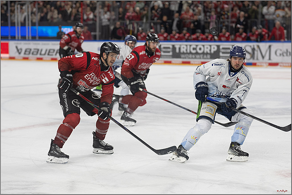 PENNY DEL 1; Kölner Haie - Straubing Tigers; Köln, 02.01.2026