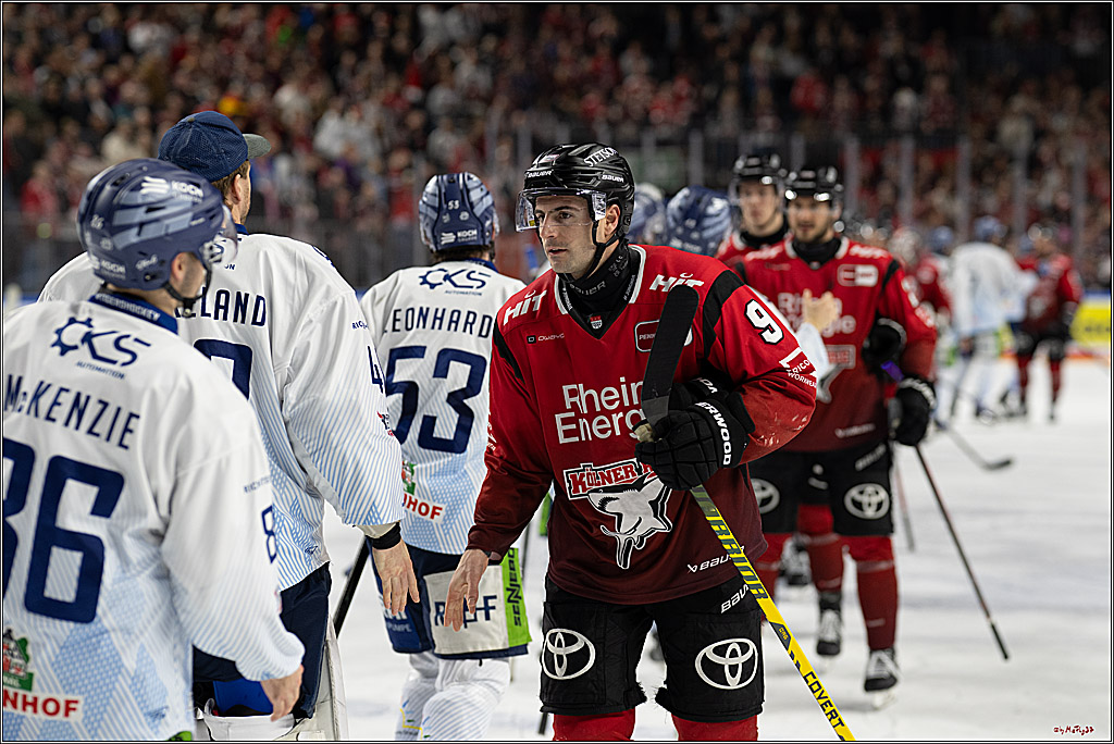 PENNY DEL 1; Kölner Haie - Straubing Tigers; Köln, 02.01.2026