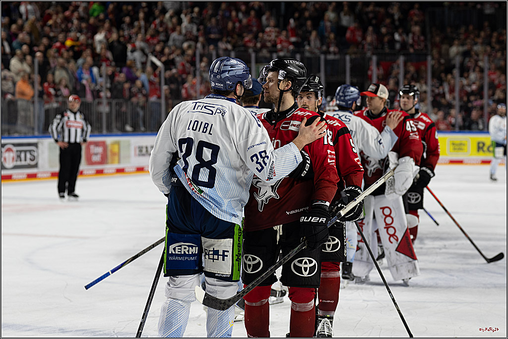 PENNY DEL 1; Kölner Haie - Straubing Tigers; Köln, 02.01.2026