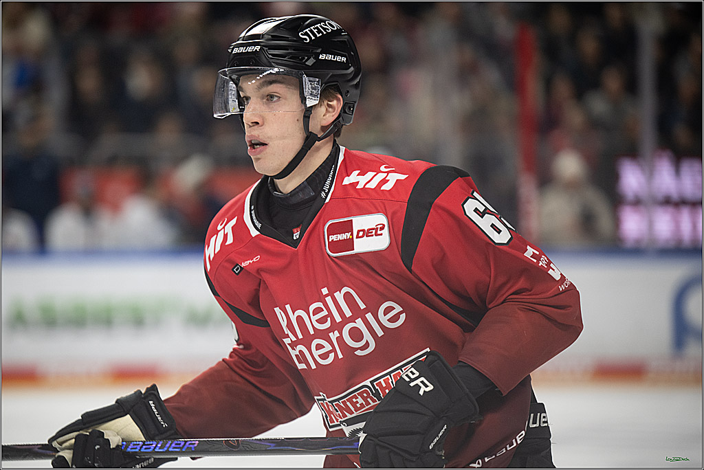 PENNY DEL 1; Kölner Haie - Straubing Tigers; Köln, 02.01.2026