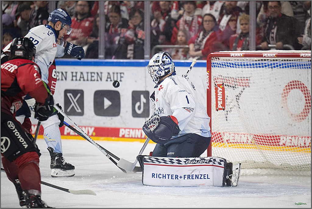 PENNY DEL 1; Kölner Haie - Straubing Tigers; Köln, 02.01.2026