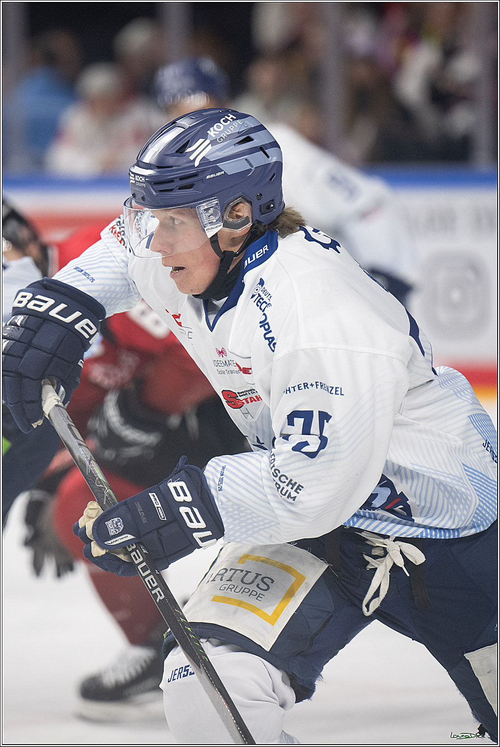 PENNY DEL 1; Kölner Haie - Straubing Tigers; Köln, 02.01.2026