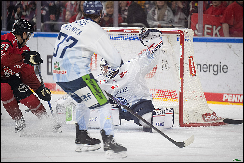 PENNY DEL 1; Kölner Haie - Straubing Tigers; Köln, 02.01.2026