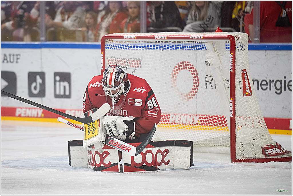 PENNY DEL 1; Kölner Haie - Straubing Tigers; Köln, 02.01.2026