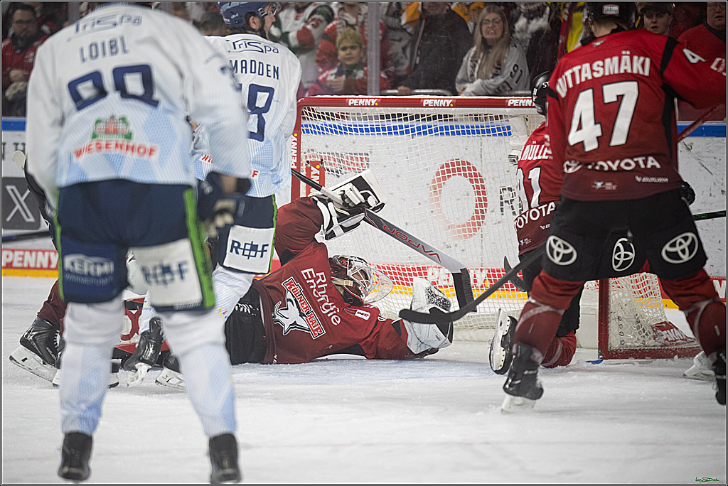 PENNY DEL 1; Kölner Haie - Straubing Tigers; Köln, 02.01.2026