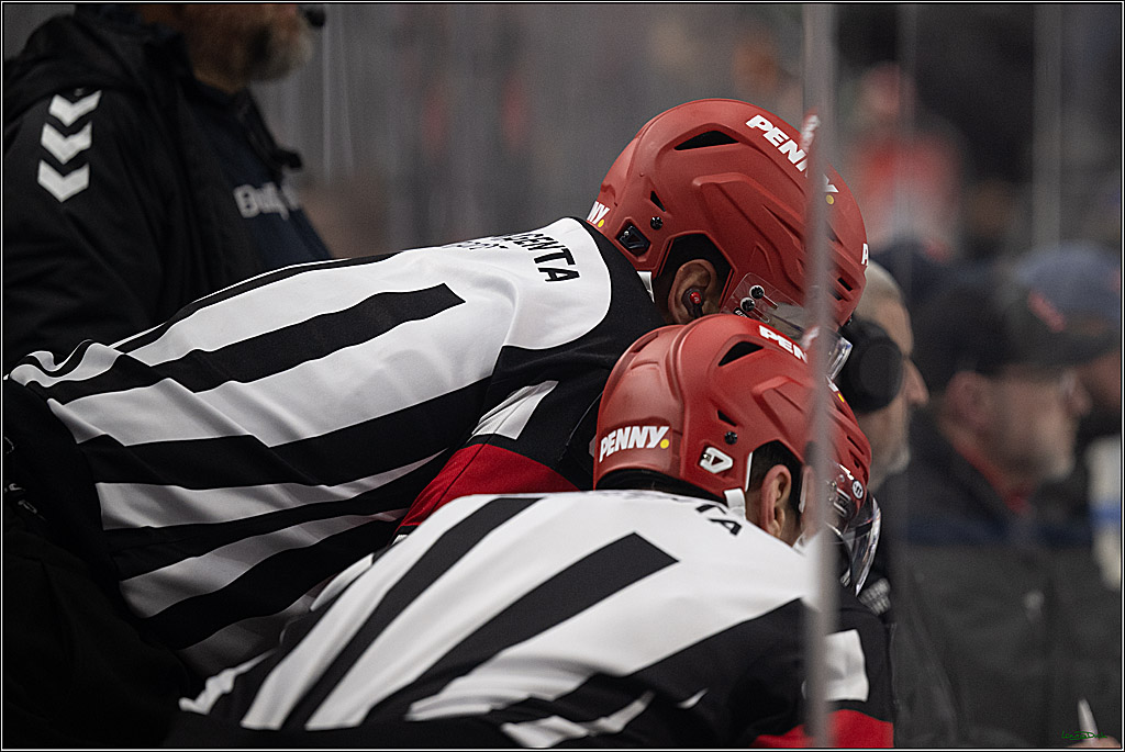 PENNY DEL 1; Kölner Haie - Straubing Tigers; Köln, 02.01.2026