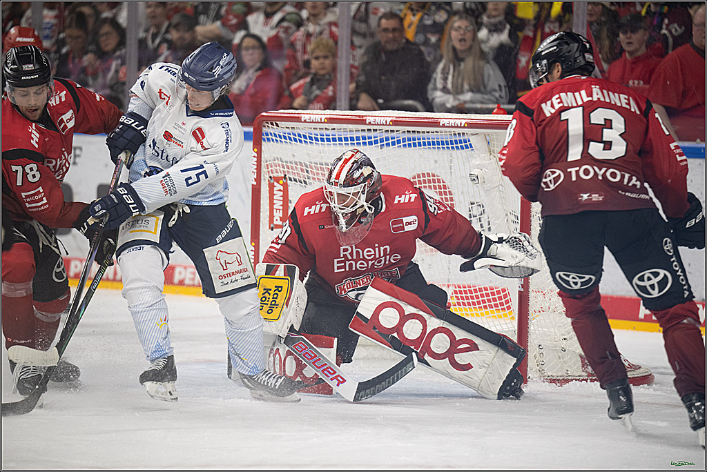 PENNY DEL 1; Kölner Haie - Straubing Tigers; Köln, 02.01.2026