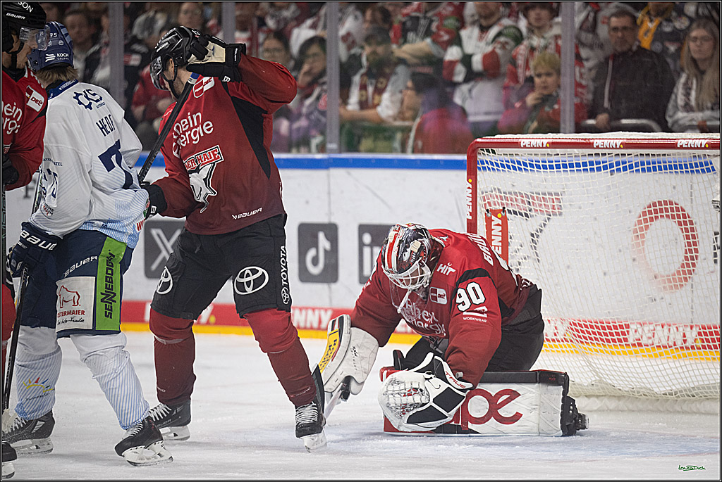 PENNY DEL 1; Kölner Haie - Straubing Tigers; Köln, 02.01.2026