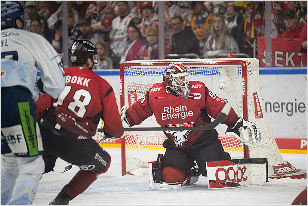 PENNY DEL 1; Kölner Haie - Straubing Tigers; Köln, 02.01.2026