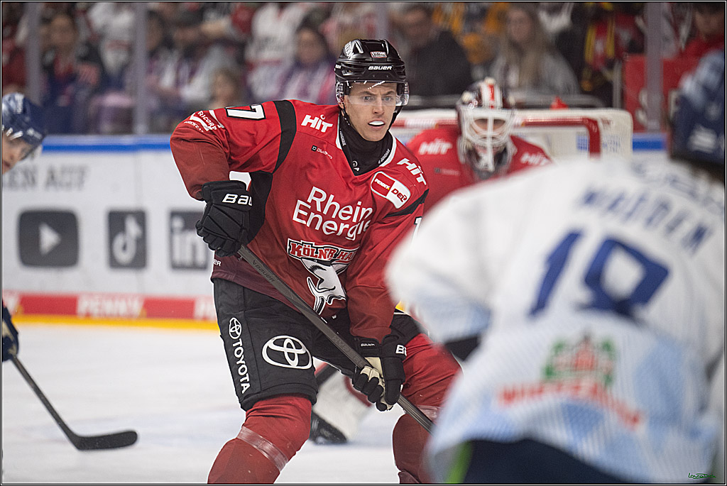 PENNY DEL 1; Kölner Haie - Straubing Tigers; Köln, 02.01.2026
