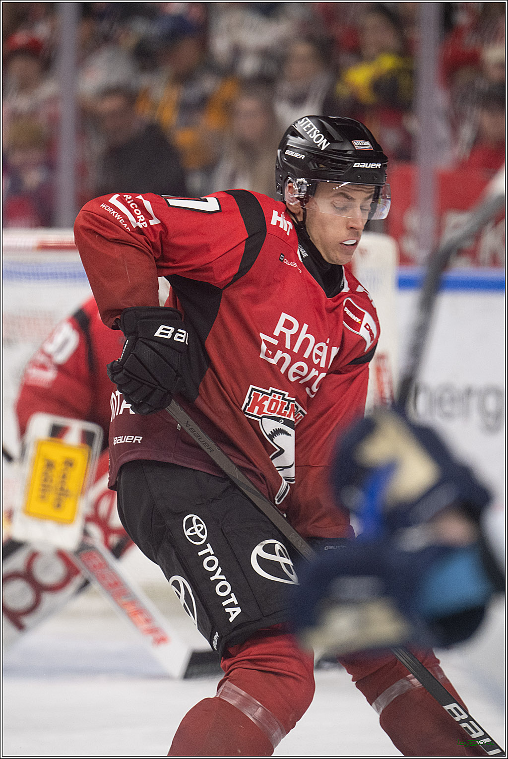 PENNY DEL 1; Kölner Haie - Straubing Tigers; Köln, 02.01.2026
