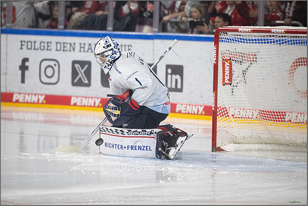 PENNY DEL 1; Kölner Haie - Straubing Tigers; Köln, 02.01.2026