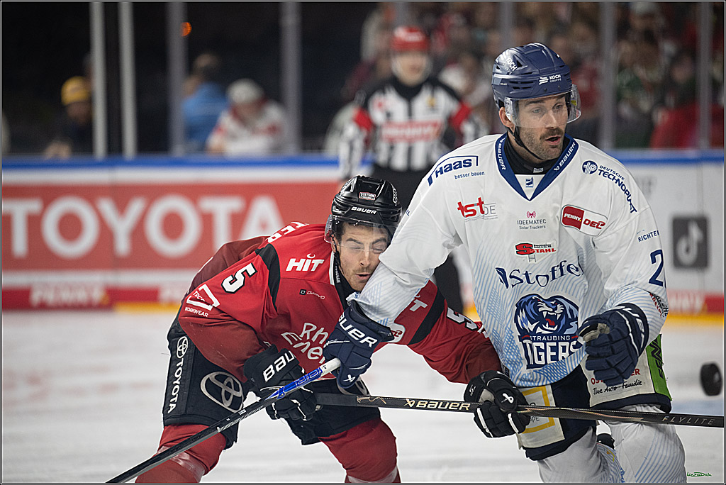 PENNY DEL 1; Kölner Haie - Straubing Tigers; Köln, 02.01.2026