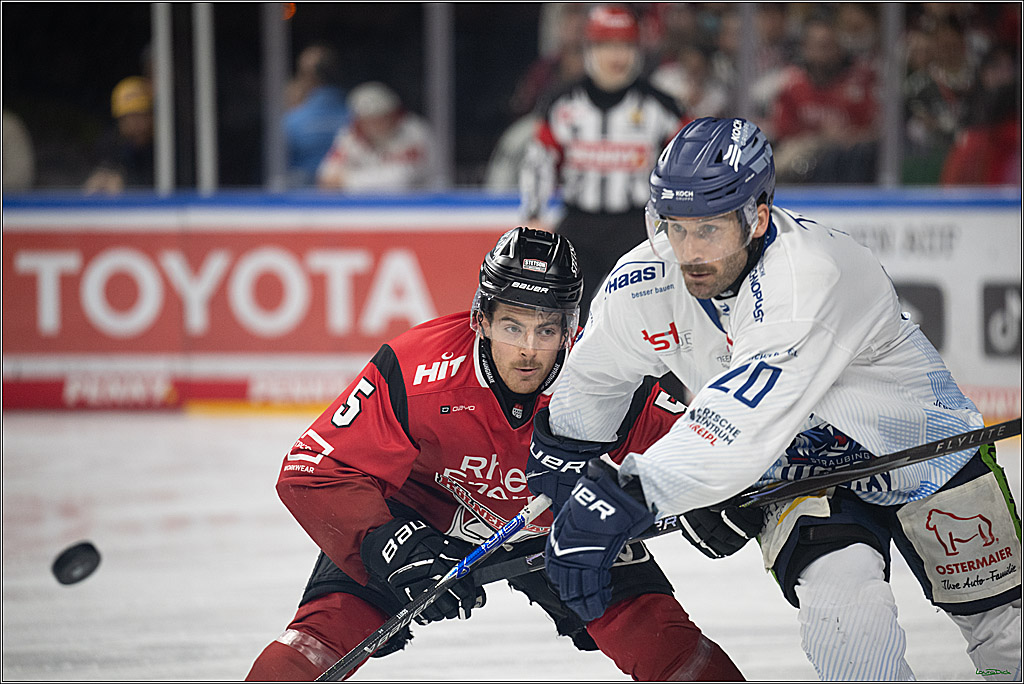 PENNY DEL 1; Kölner Haie - Straubing Tigers; Köln, 02.01.2026
