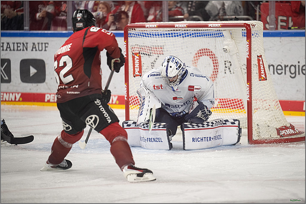 PENNY DEL 1; Kölner Haie - Straubing Tigers; Köln, 02.01.2026