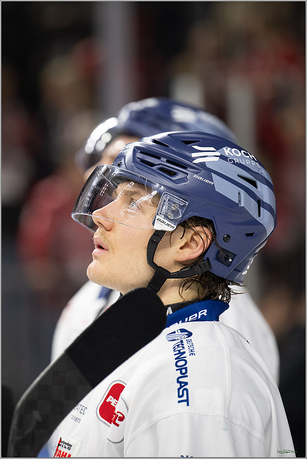 PENNY DEL 1; Kölner Haie - Straubing Tigers; Köln, 02.01.2026