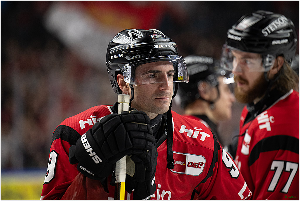 PENNY DEL 1; Kölner Haie - Straubing Tigers; Köln, 02.01.2026