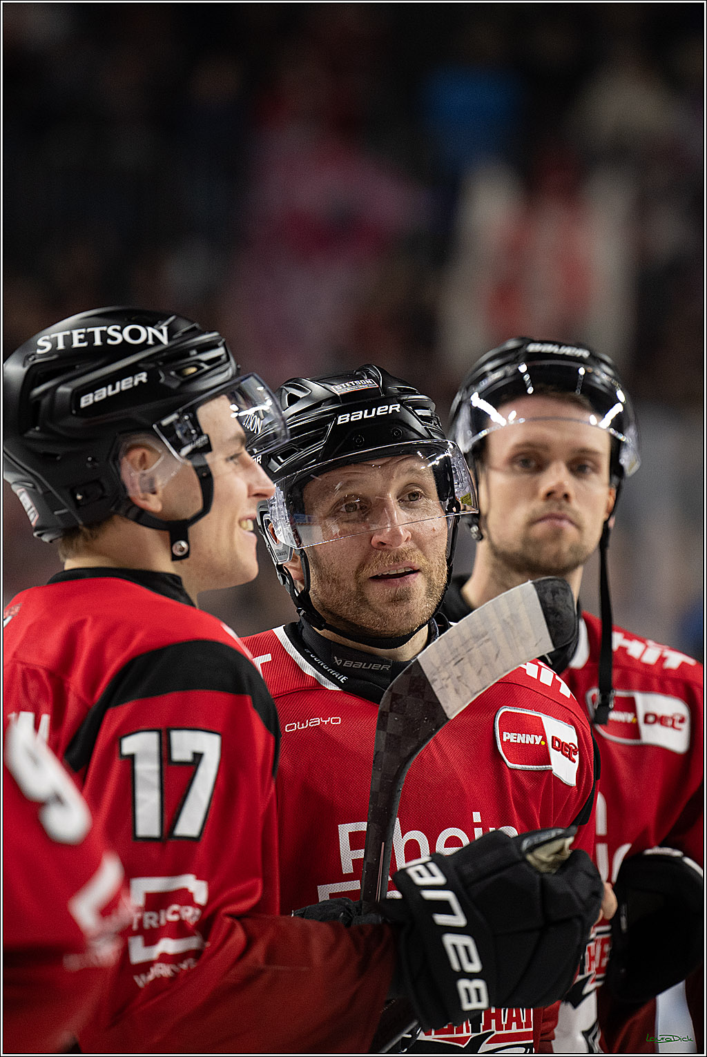 PENNY DEL 1; Kölner Haie - Straubing Tigers; Köln, 02.01.2026