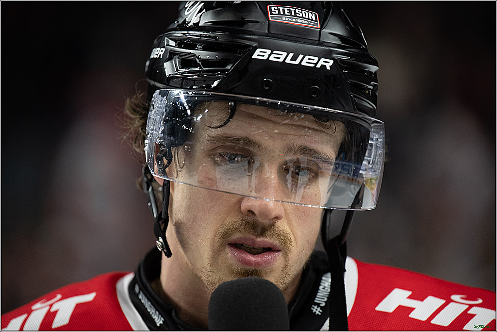 PENNY DEL 1; Kölner Haie - Straubing Tigers; Köln, 02.01.2026