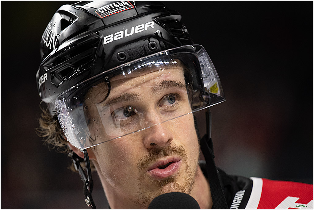 PENNY DEL 1; Kölner Haie - Straubing Tigers; Köln, 02.01.2026