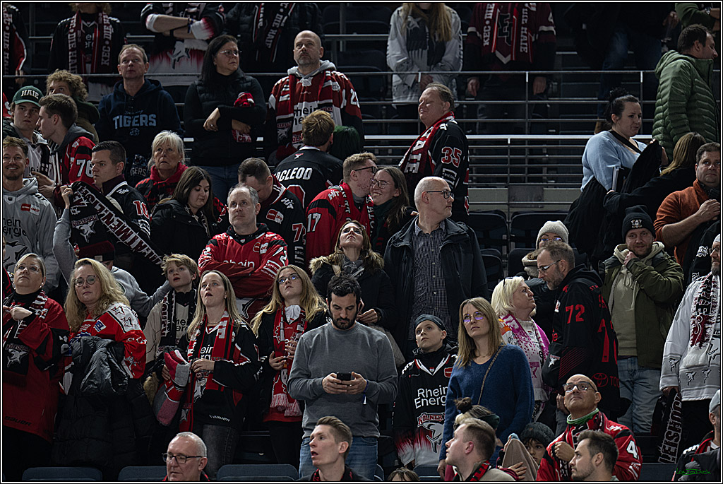 PENNY DEL 1; Kölner Haie - Straubing Tigers; Köln, 02.01.2026
