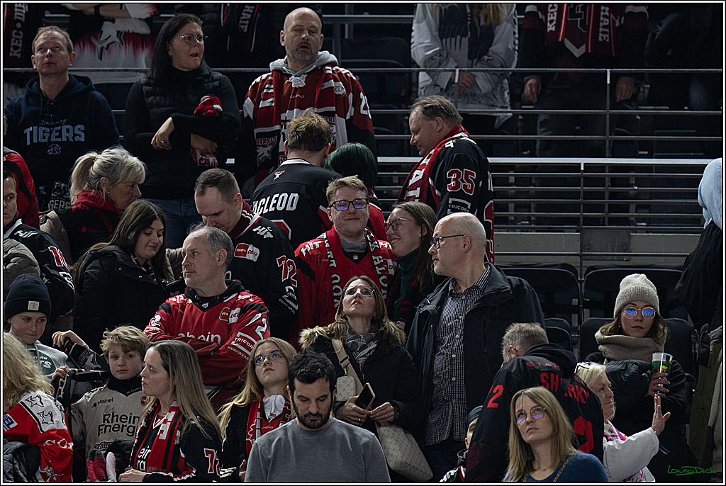 PENNY DEL 1; Kölner Haie - Straubing Tigers; Köln, 02.01.2026