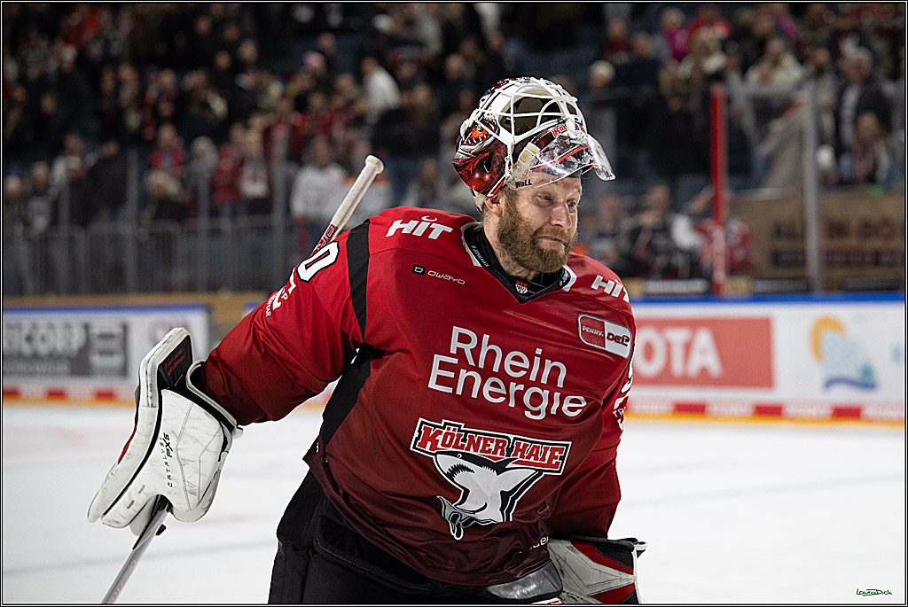 PENNY DEL 1; Kölner Haie - Straubing Tigers; Köln, 02.01.2026