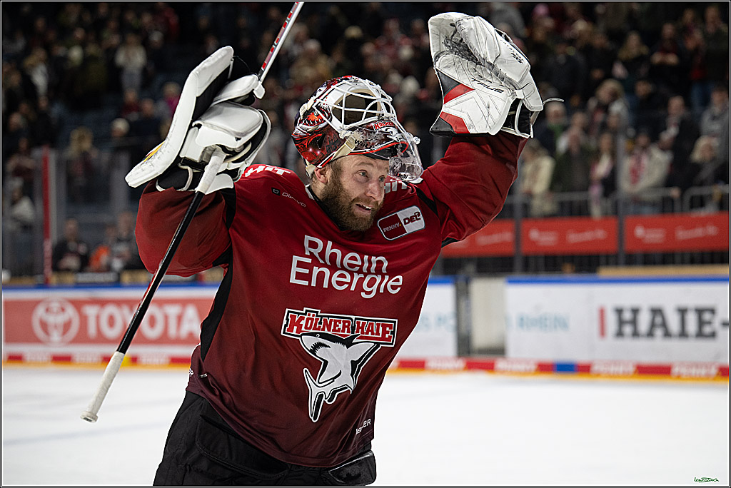PENNY DEL 1; Kölner Haie - Straubing Tigers; Köln, 02.01.2026