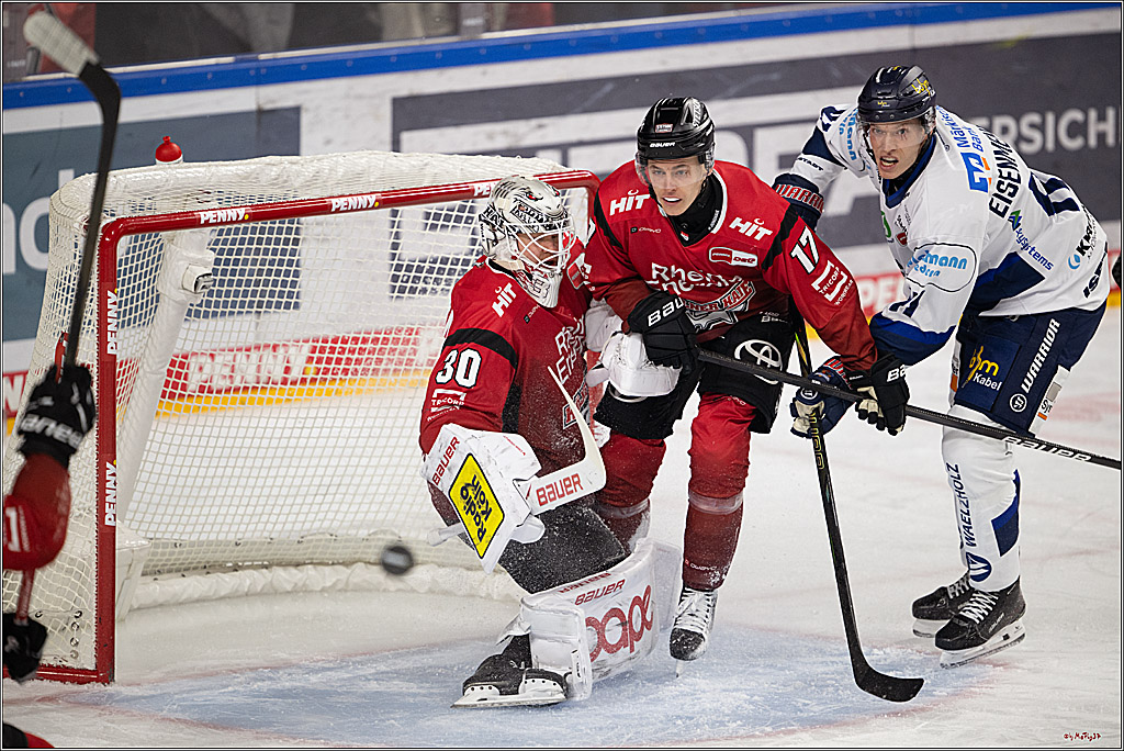 PENNY DEL 1; Kölner Haie - Iserlohn Roosters; Köln, 18.01.2026