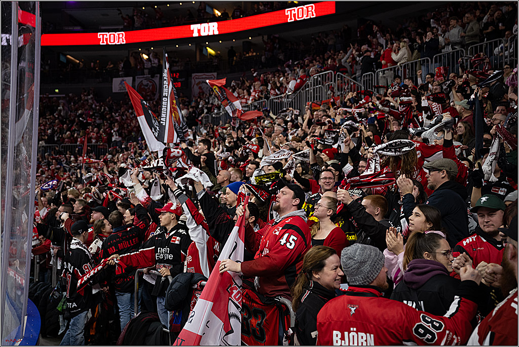 PENNY DEL 1; Kölner Haie - Iserlohn Roosters; Köln, 18.01.2026