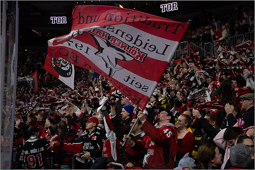 PENNY DEL 1; Kölner Haie - Iserlohn Roosters; Köln, 18.01.2026