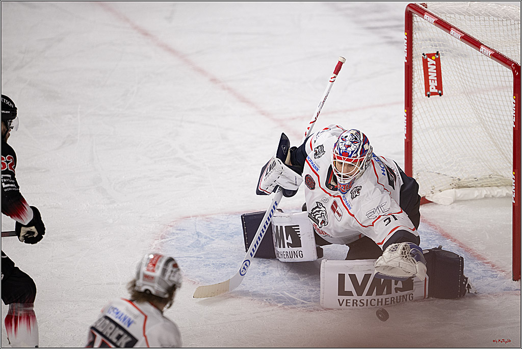 PENNY DEL 1; Kölner Haie - Nürnberg Ice Tigers; Köln, 25.01.2026