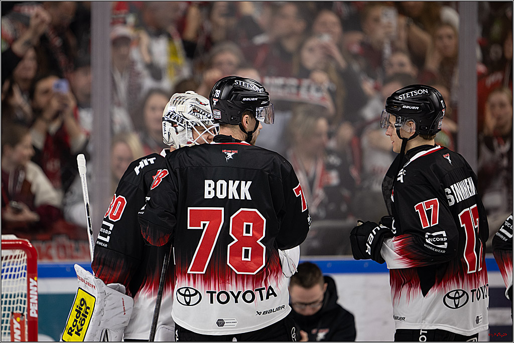 PENNY DEL 1; Kölner Haie - Nürnberg Ice Tigers; Köln, 25.01.2026
