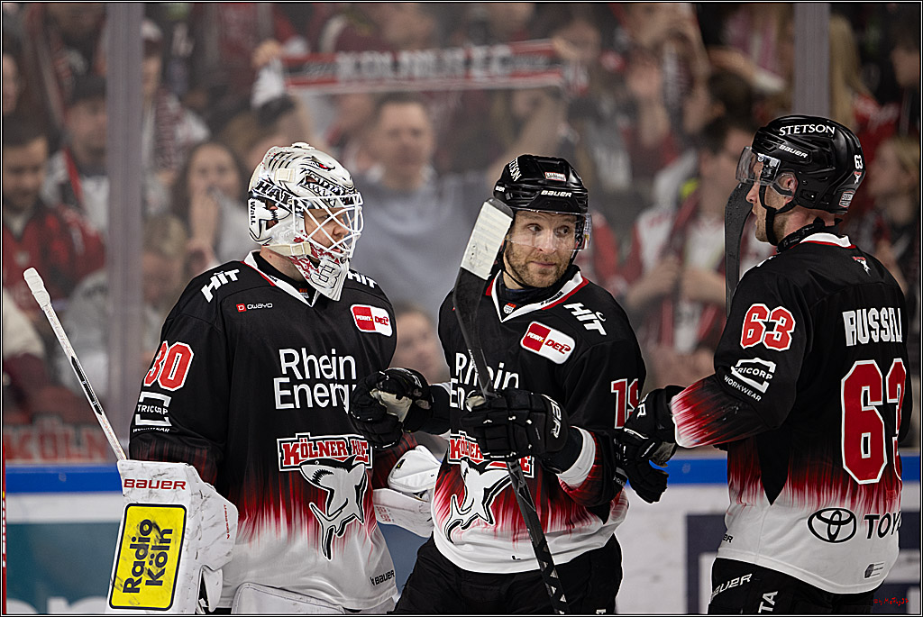 PENNY DEL 1; Kölner Haie - Nürnberg Ice Tigers; Köln, 25.01.2026