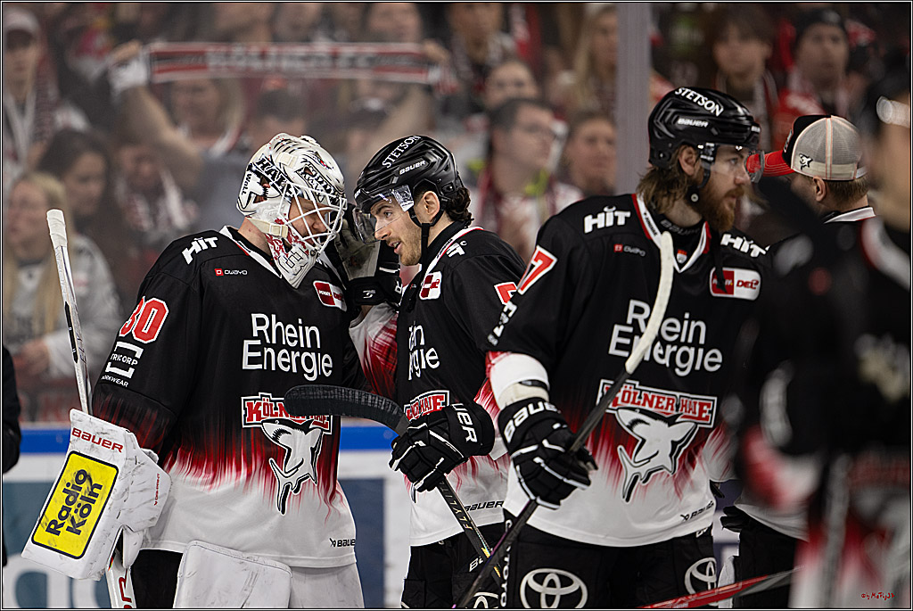 PENNY DEL 1; Kölner Haie - Nürnberg Ice Tigers; Köln, 25.01.2026