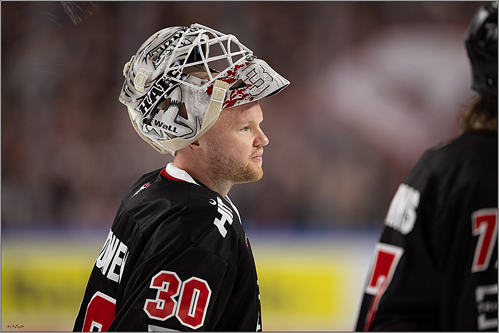 PENNY DEL 1; Kölner Haie - Nürnberg Ice Tigers; Köln, 25.01.2026