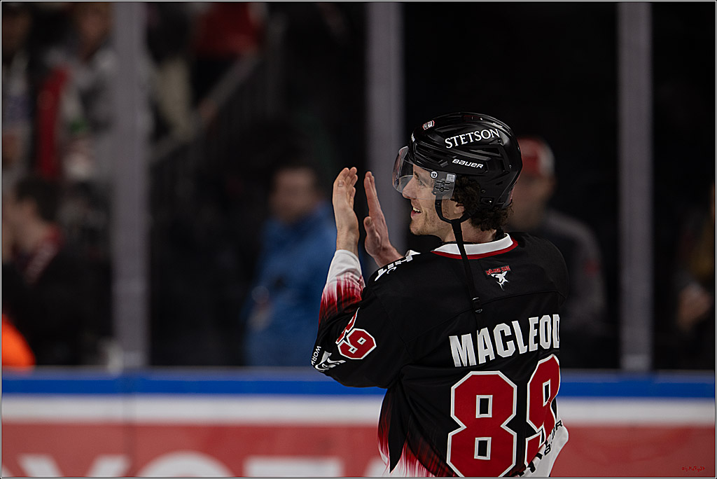 PENNY DEL 1; Kölner Haie - Nürnberg Ice Tigers; Köln, 25.01.2026