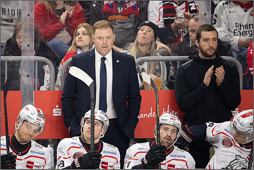 PENNY DEL 1; Kölner Haie - Nürnberg Ice Tigers; Köln, 25.01.2026