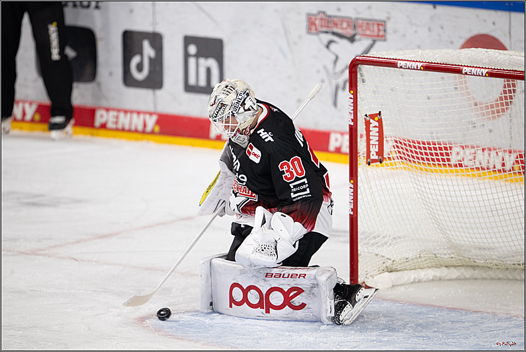 PENNY DEL 1; Kölner Haie - Nürnberg Ice Tigers; Köln, 25.01.2026