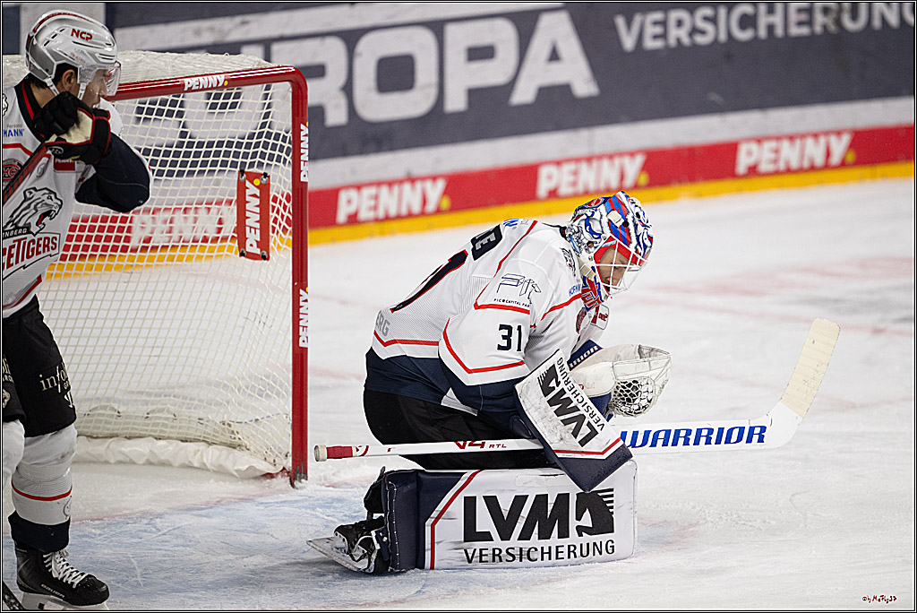 PENNY DEL 1; Kölner Haie - Nürnberg Ice Tigers; Köln, 25.01.2026