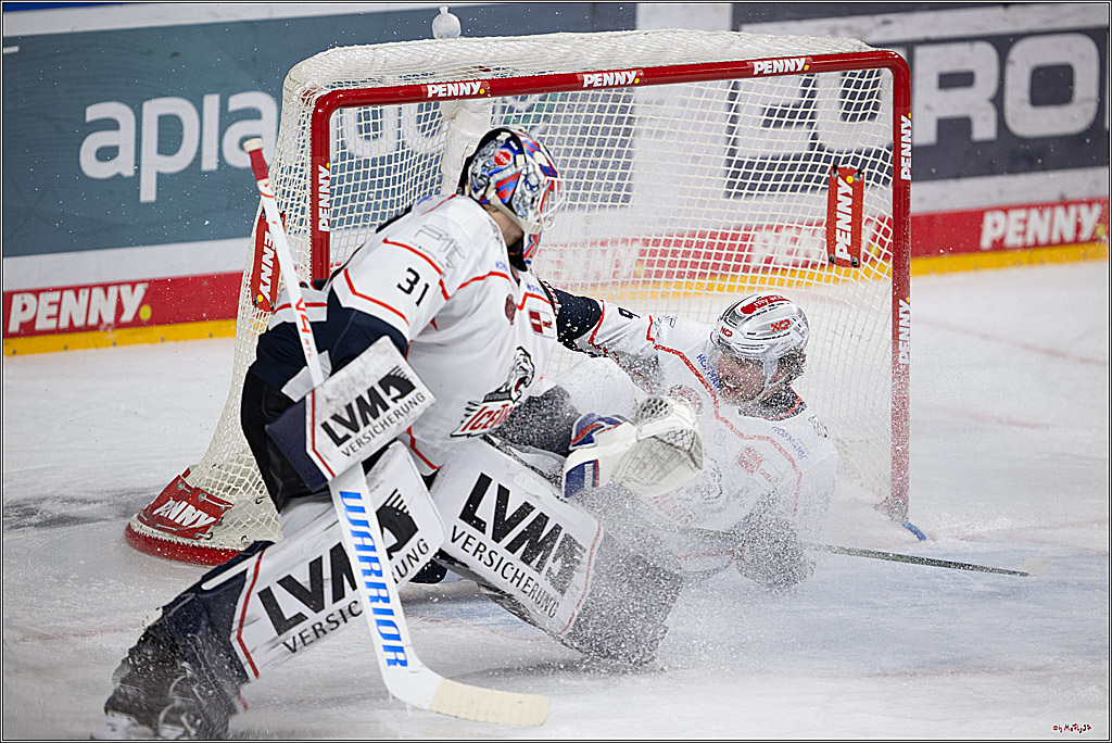 PENNY DEL 1; Kölner Haie - Nürnberg Ice Tigers; Köln, 25.01.2026