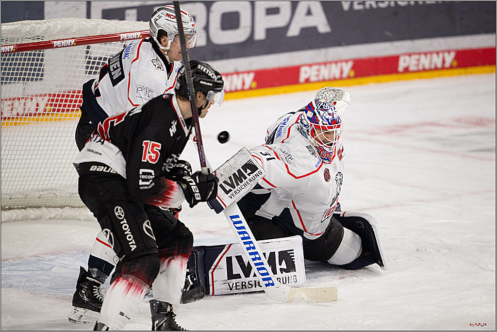 PENNY DEL 1; Kölner Haie - Nürnberg Ice Tigers; Köln, 25.01.2026