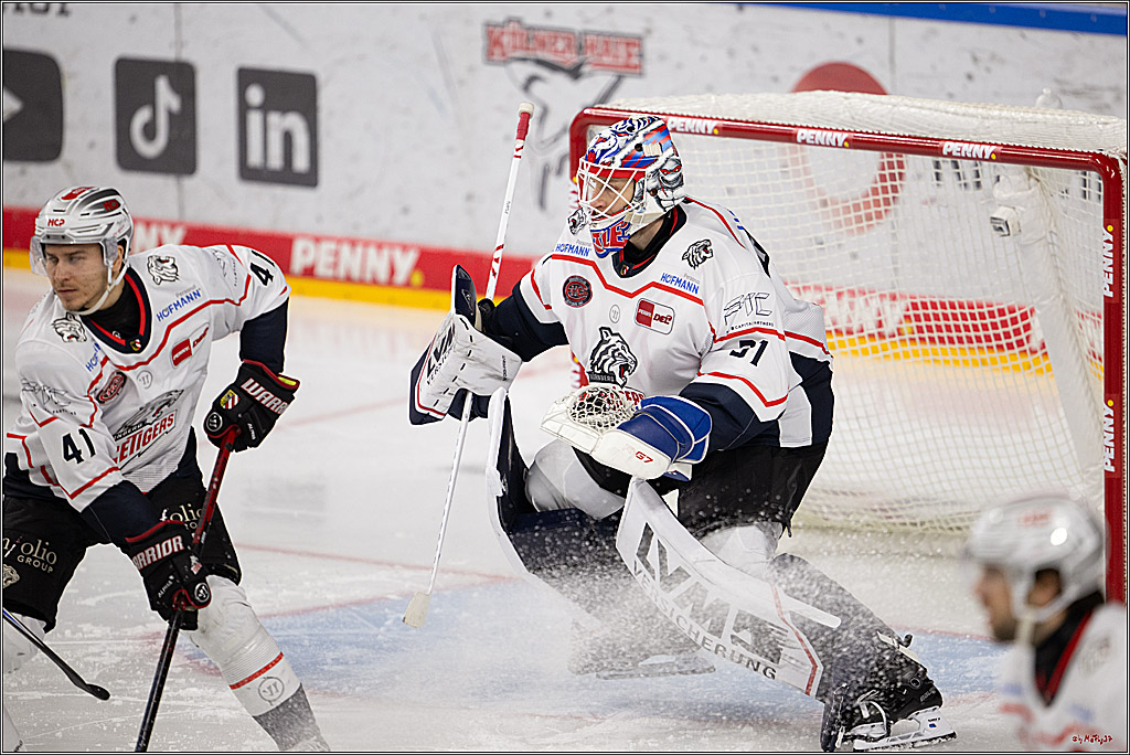 PENNY DEL 1; Kölner Haie - Nürnberg Ice Tigers; Köln, 25.01.2026
