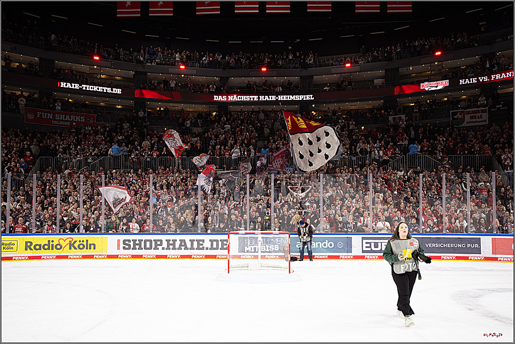 PENNY DEL 1; Kölner Haie - Nürnberg Ice Tigers; Köln, 25.01.2026