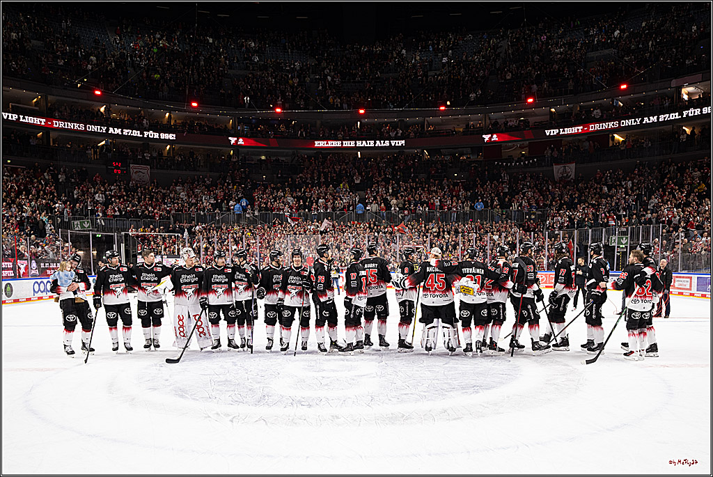 PENNY DEL 1; Kölner Haie - Nürnberg Ice Tigers; Köln, 25.01.2026