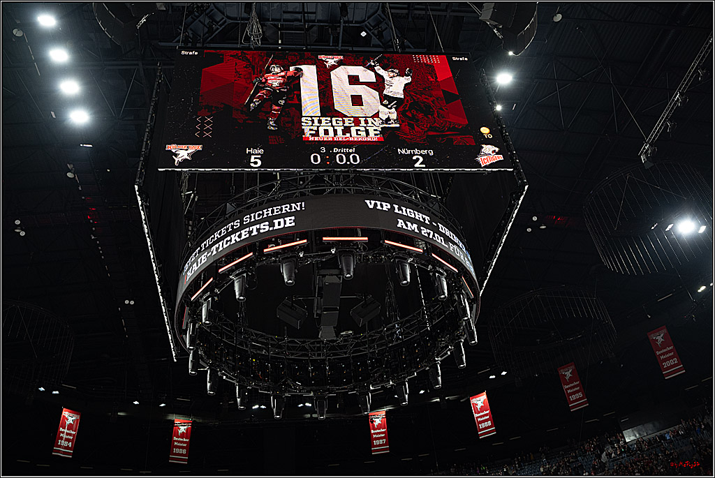 PENNY DEL 1; Kölner Haie - Nürnberg Ice Tigers; Köln, 25.01.2026