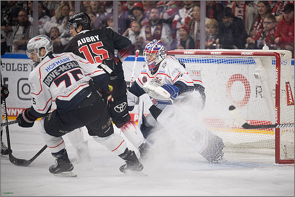 PENNY DEL 1; Kölner Haie - Nürnberg Ice Tigers; Köln, 25.01.2026